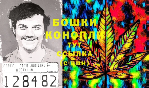 МДПВ Новокубанск