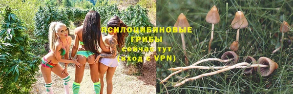 кокс Новозыбков
