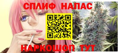 МДПВ Камышлов