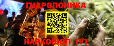 МДПВ Камышлов