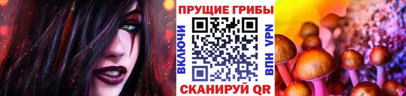 Галлюциногенные грибы мухоморы Краснокаменск