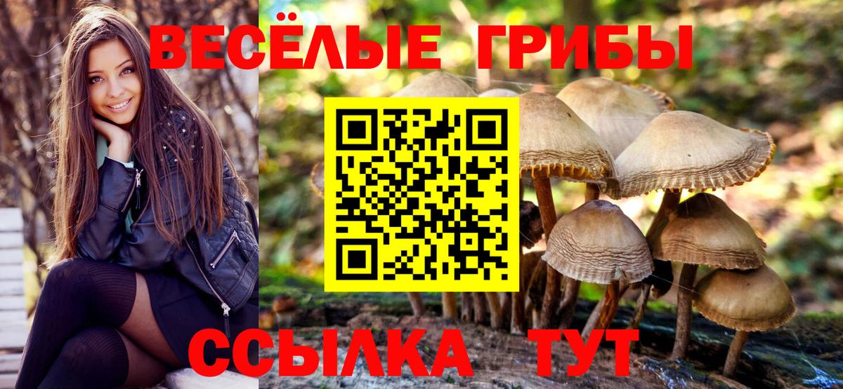 Краснокаменск  Галлюциногенные грибы Magic Shrooms  Галлюциногенные грибы GOLDEN TEACHER  Вход с VPN 