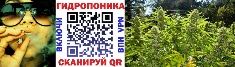 Марихуана тримм  продажа наркотиков  Краснокаменск 